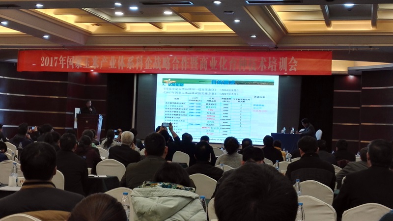 玉米产业体系科企合作机商业化育种技术培训 22222.jpg