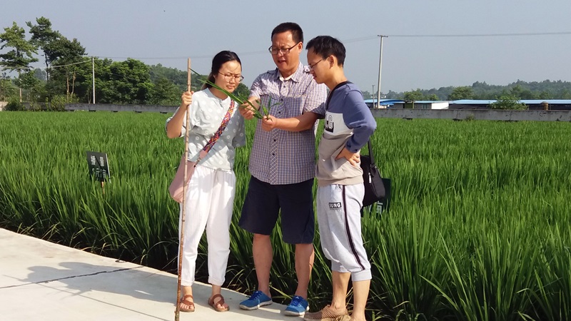 老同志指导年轻同志1.jpg