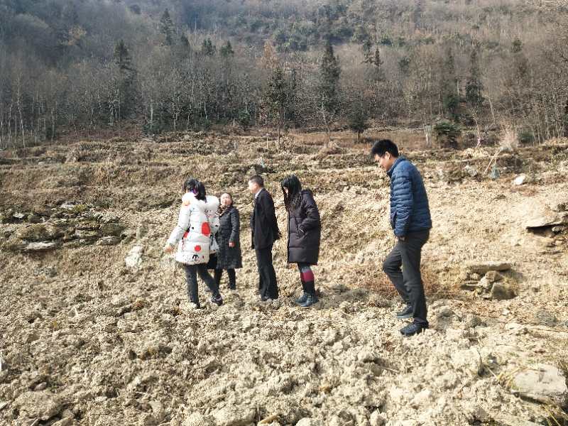 TIM图片20180130084432.jpg