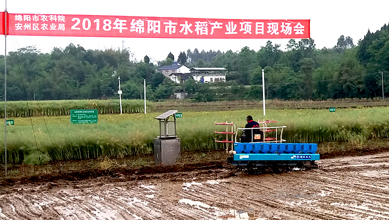 k0242.jpg