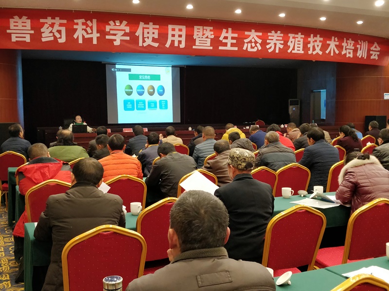 罗英1.jpg