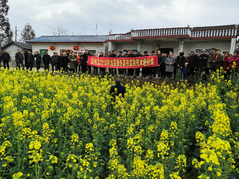 田间操作培训会.jpg