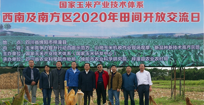 s1121.jpg