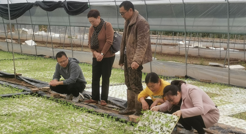 QQ图片20211015141625.jpg