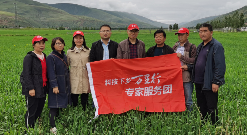 调研指导炉霍县青稞种植企业.jpg