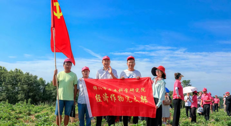 照片1.jpg
