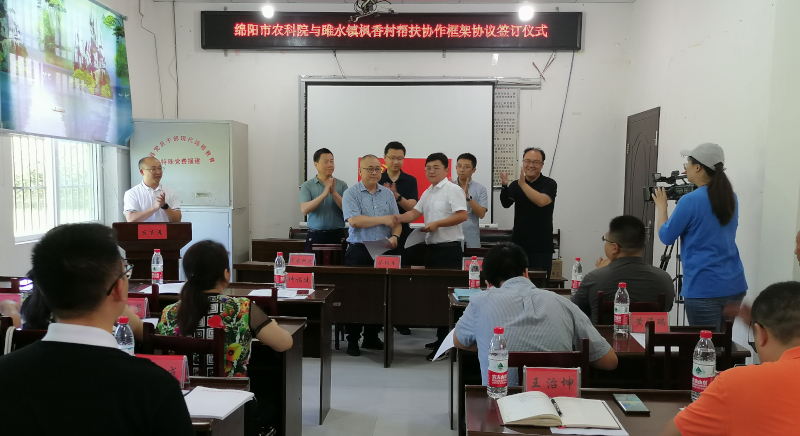 签约仪式.jpg
