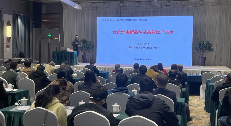图片7.png