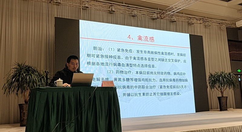 图片8.png
