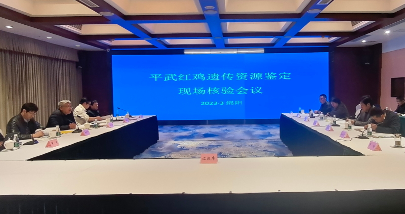 现场核验会议.jpg