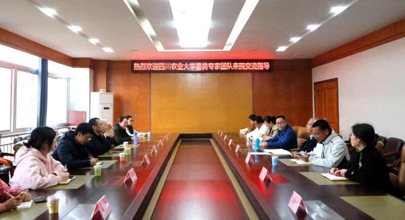 图片13.png