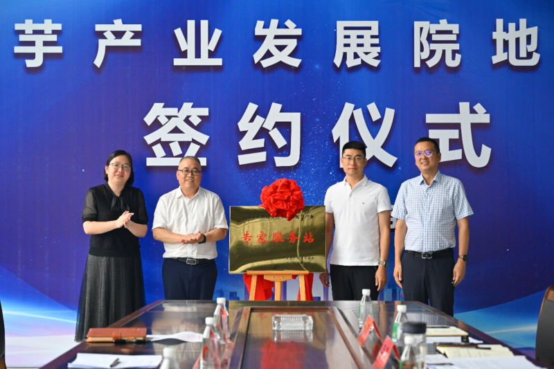 图片3.png