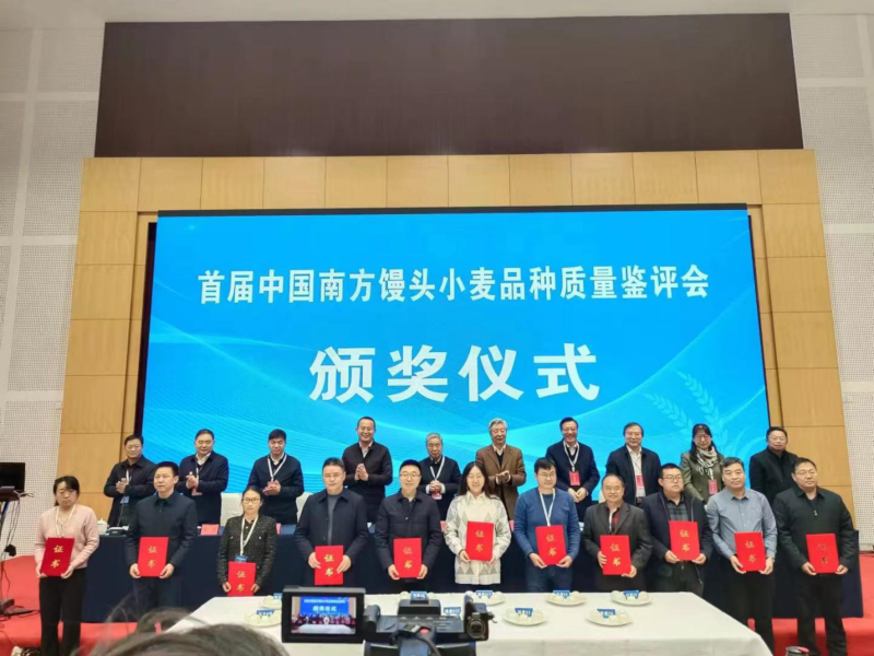 图片16.png