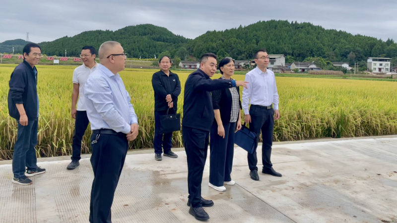 微信图片_20250930145541_57_228.jpg 微信图片_20250930145541_57_228.jpg