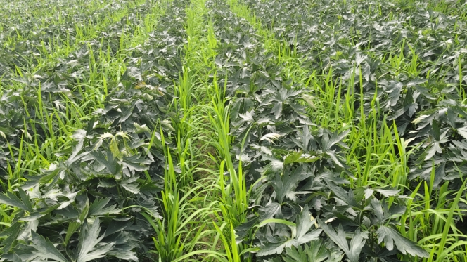 图片2.jpg 图片2.jpg