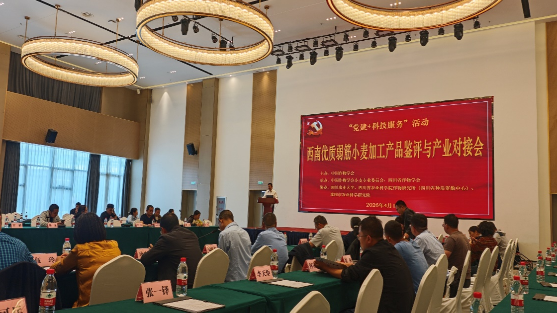图片1(1).png