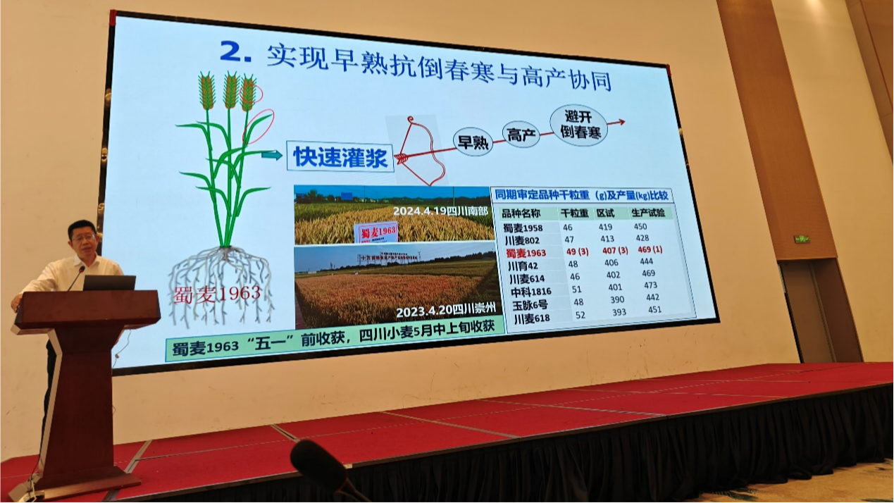 图片6(1).png