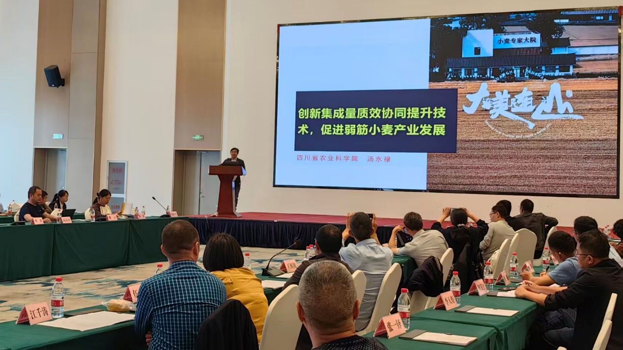 图片7(1).png