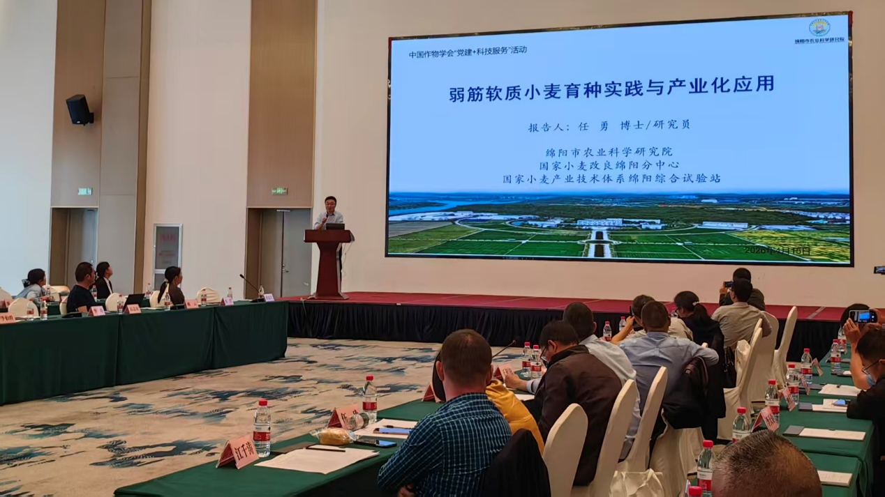 图片8(1).png