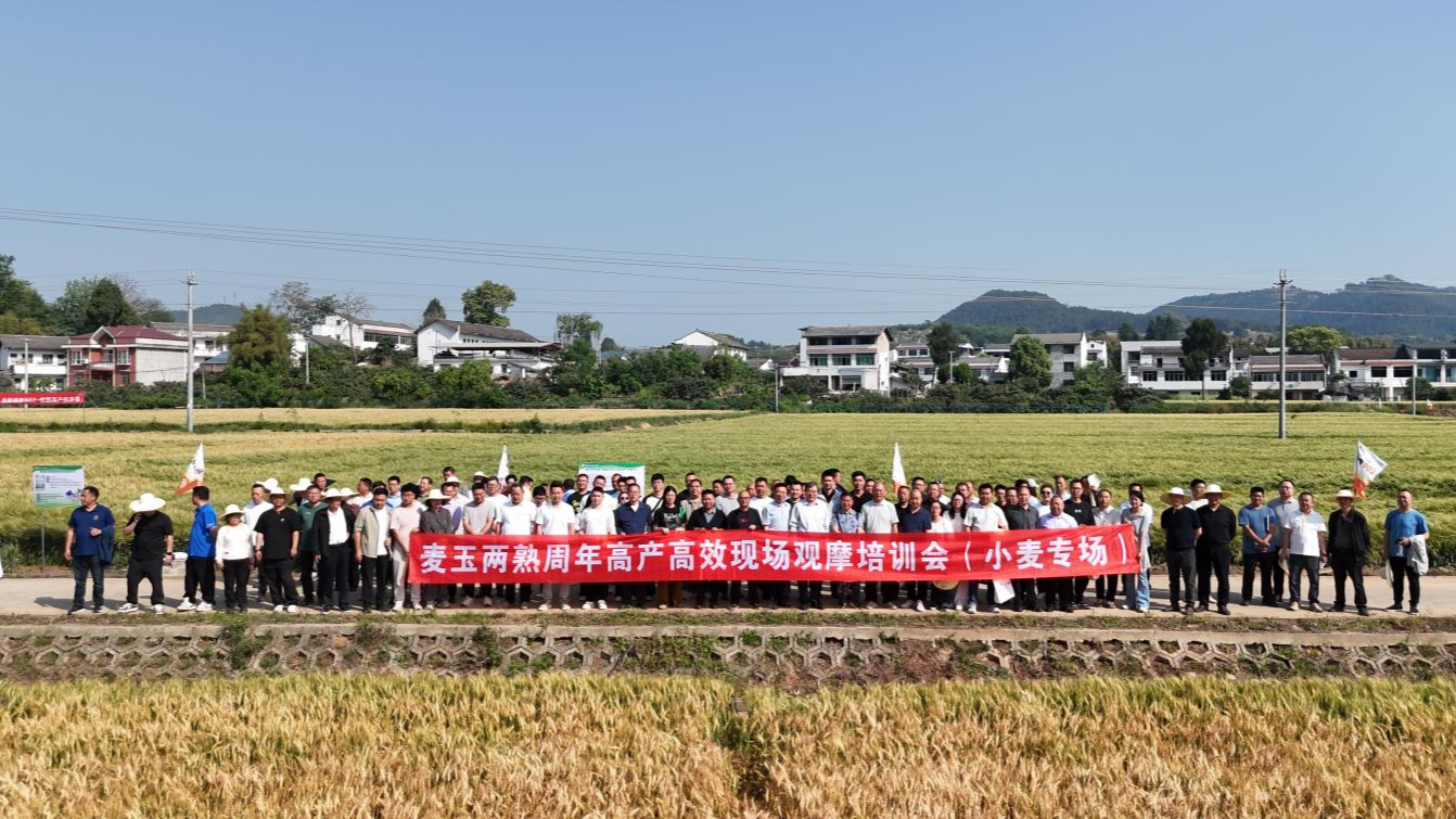 图片1(1).png