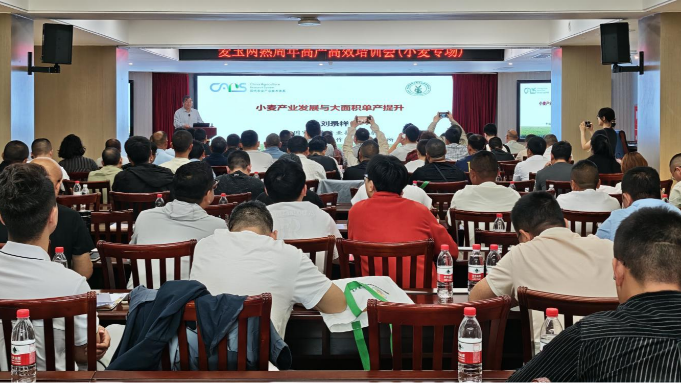 图片3(1).png