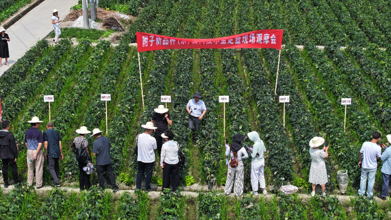 微信图片_20260605162757_2581_32(1).jpg 微信图片_20260605162757_2581_32(1).jpg