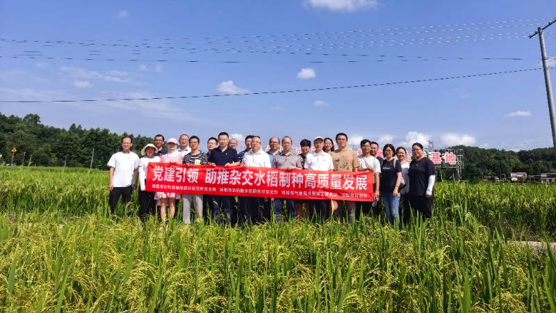 支部党建活动图片1.jpg